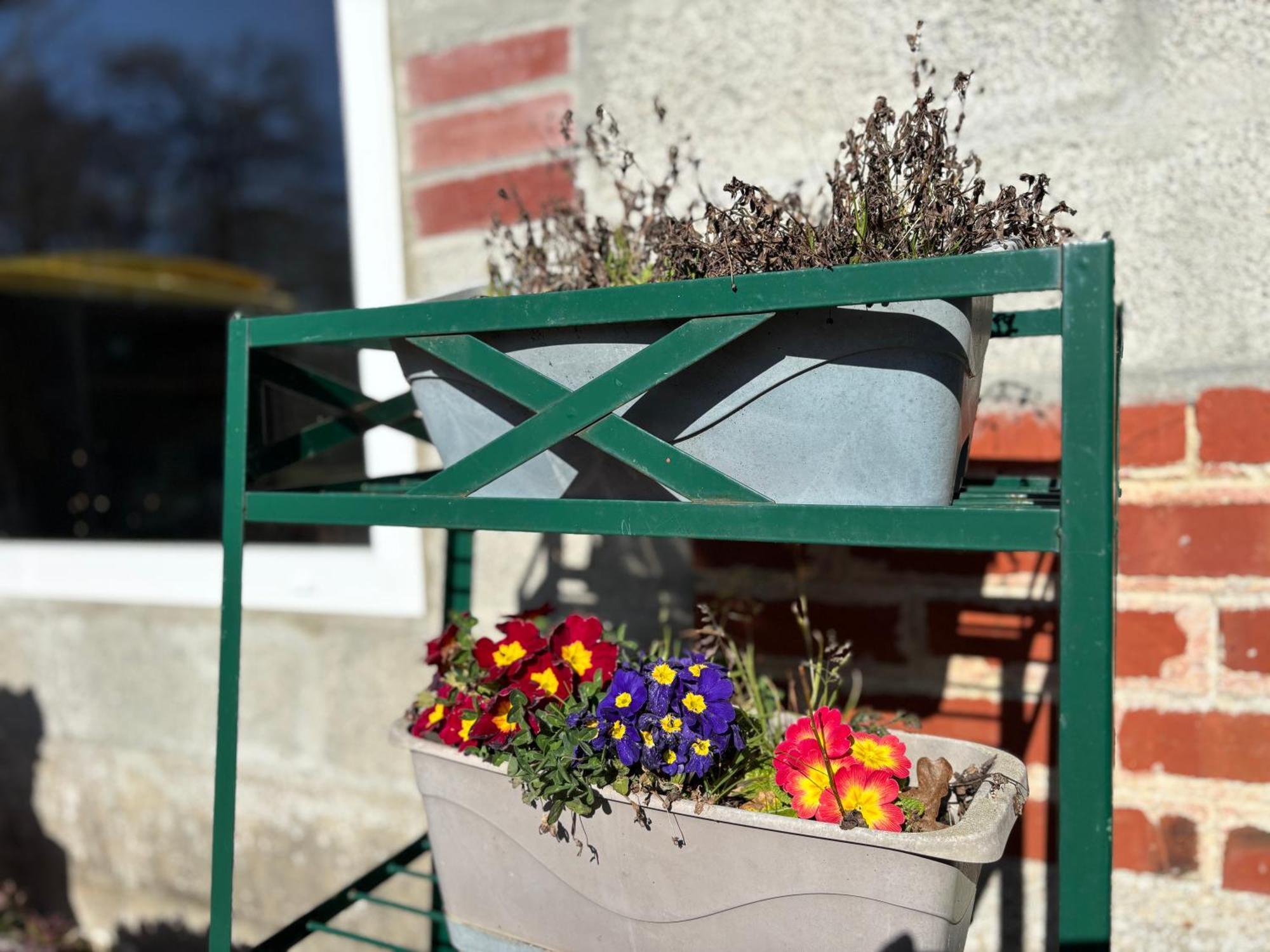 Maison De Campagne Lumineuse Spacieuse Dans Impasse Au Calme A Proximite D'Un Chateau Deux Verandas Grand Jardin Cabane Pour Velos, Pres Port En Bessin Et Bayeux, Proche Plages Du Debarquement Commes 外观 照片